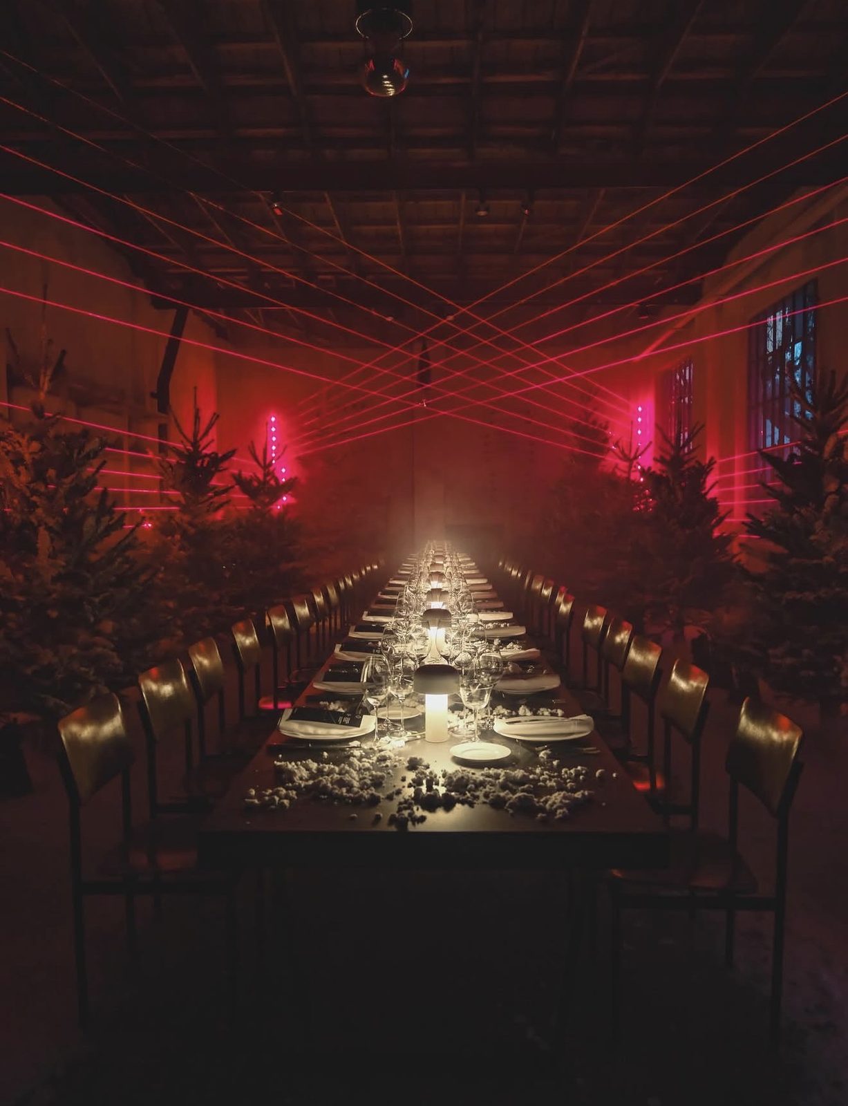 Cena con laser e abeti